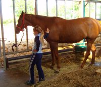 Kind mit Pferd im Reitstall