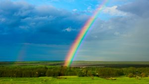Regenbogen